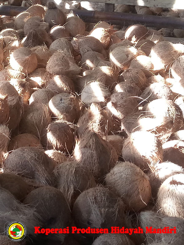 Kelapa KPHM